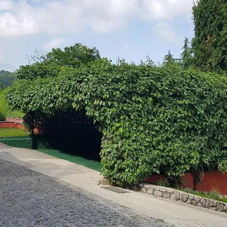 Peace Of Mind 2 アパート *