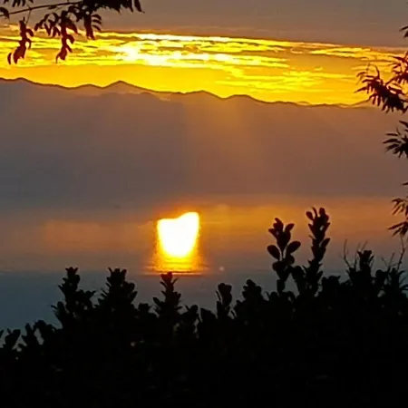 Peace Of Mind 2 オパティヤ