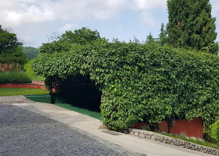 Peace Of Mind 2 アパート *